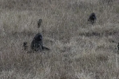 DSC_3594 (Large).JPG